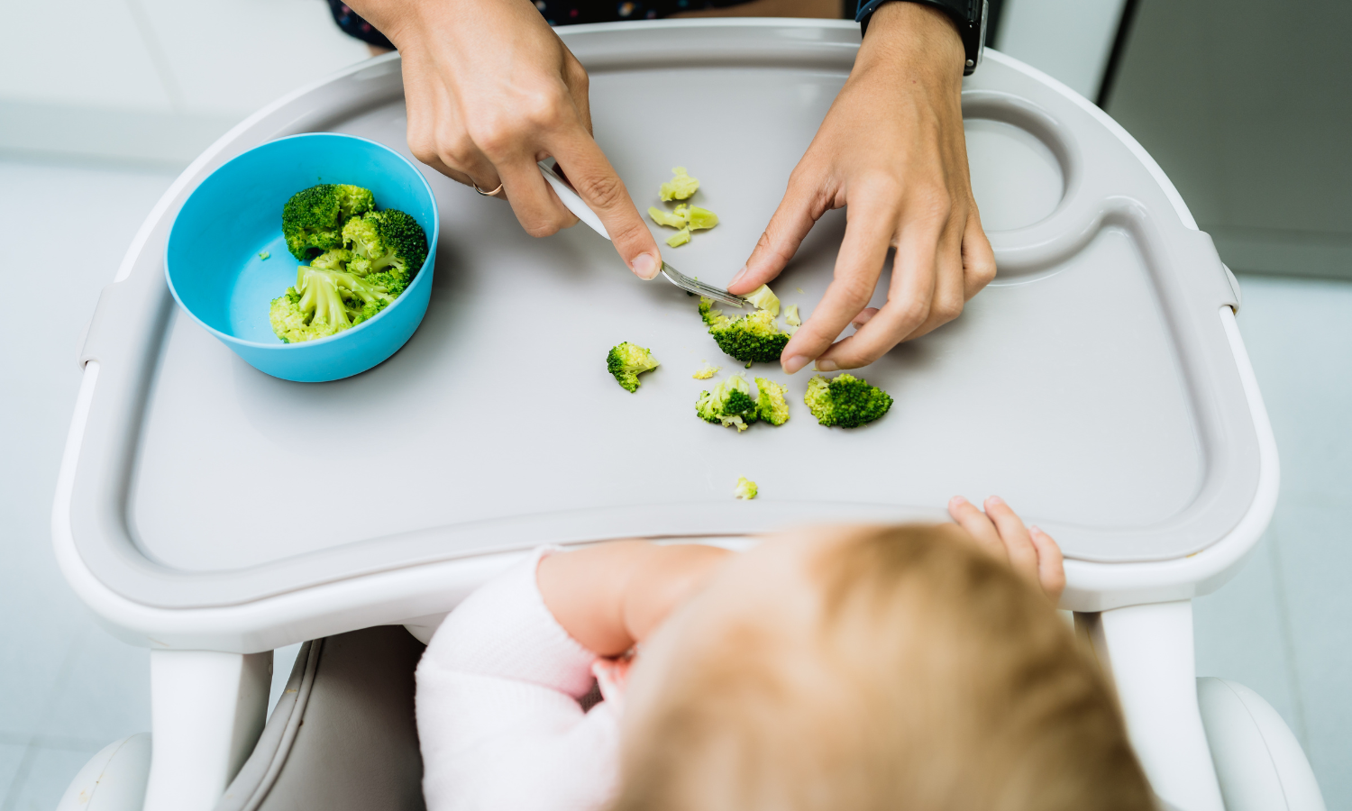 Zipster Blog-4 Tips to Help Your Baby Transition to Solid Foods